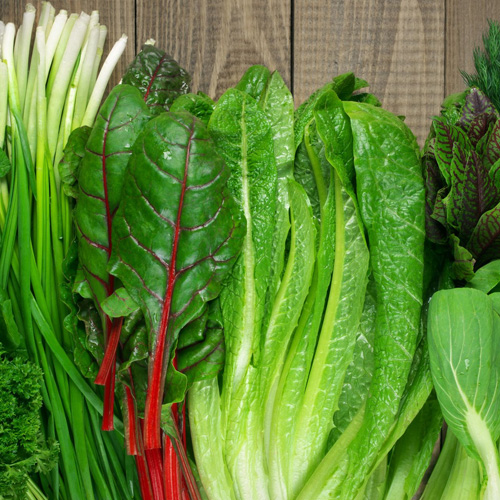 lettuce